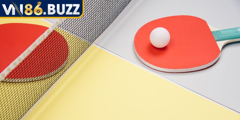 Cá Cược Bóng Bàn VN86 – Hướng Dẫn Chi Tiết Cho Người Mới 2 Một số hình thức chơi cá cược bóng bàn phổ biến