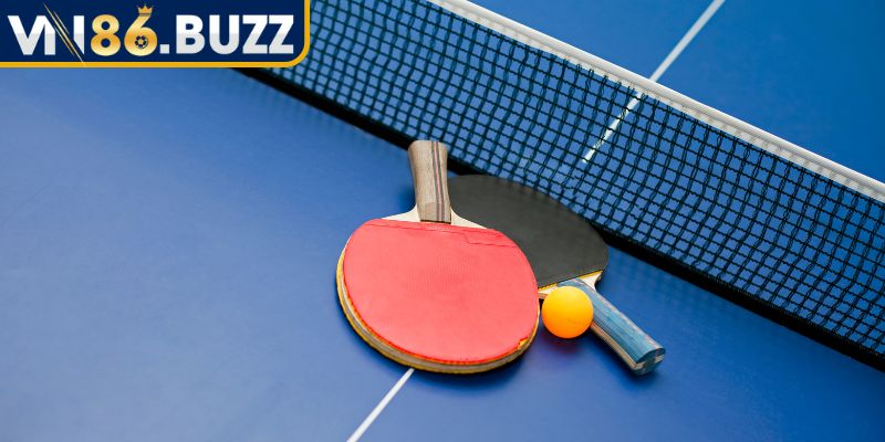 Cá Cược Bóng Bàn VN86 – Hướng Dẫn Chi Tiết Cho Người Mới 3 Kinh nghiệm hữu hiệu khi tham gia kèo bóng bàn tại nền tảng