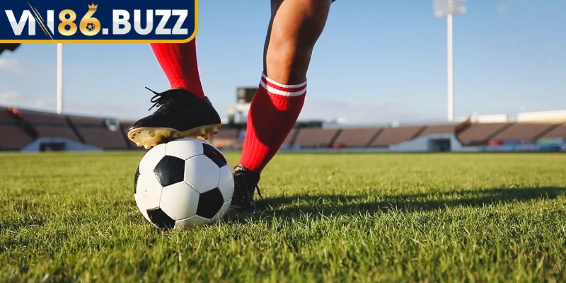 Kèo hòa ngoại trừ VN86 – Bí quyết đọc kèo chuẩn như cao thủ 2 Giới thiệu các kèo hòa ngoại trừ tại nhà cái