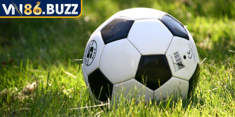 Kèo Việt Vị VN86 – Hướng Dẫn Chi Tiết Cách Đọc Kèo Chuẩn Xác 1 Thông tin và cách đọc kèo việt vị tại nhà cái